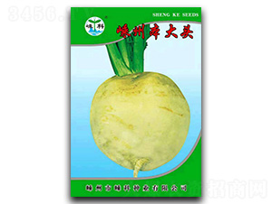 ���ݱ����^-��˷N��-�ӿƷN�I