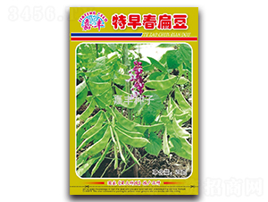 ���紺�ⶹ-�ⶹ�N��-���S�N��