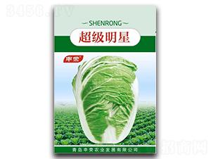 ��������-�ײ˷N��-��s�r�I