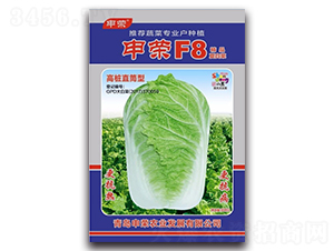 ��sF8-�ײ˷N��-��s�r�I