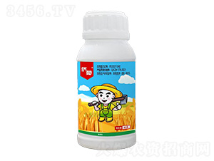 2�ס��ȡ��p��-�S�z-���r�I