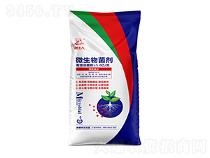 ΢�������-��ʢ�r�I