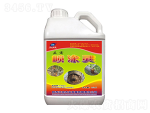 ��Ϳ�`-��������