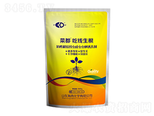 ���Ը��Y���x���x�x���T����-�˶��Ծ�����-���lƷ��