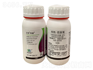 48%ϩ����˪�嵪-���lȽ˪-���lƷ��