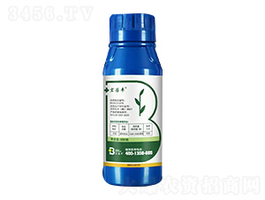 24-���|̦�؃�����S-�T����-�����r