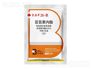 �����S28-���|̦�؃���-�����r