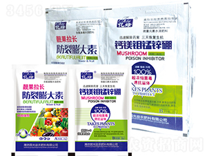 �n�����L�����+�}�V�f�i�\��-�������r