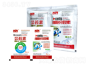 �|̦��+����������-�������r