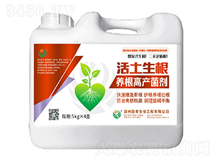 ��������-�۟o��