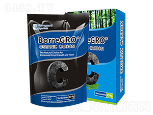 ʩ��-�r��ʩ