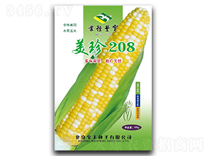 ����208-Ŵ���׷N��-���S