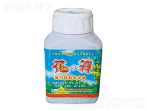 �����ڷ�������-����-��ķ�r�I