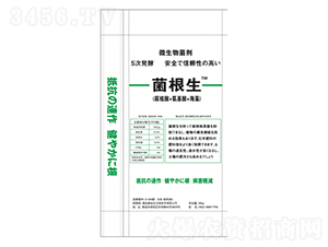 ����������-����