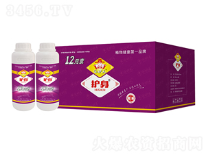 12Ԫ�أ��䣩-�o��-���Ԫ