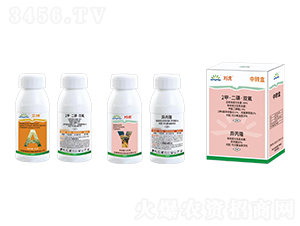 48%2�ס����ǡ��p��+50%����¡-�׻�-¡������