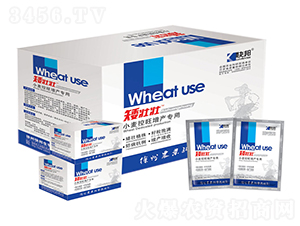 С���������a���ð��щ�-�������