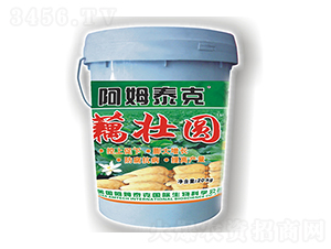 藕壯圓-阿姆泰克-迦姆農業