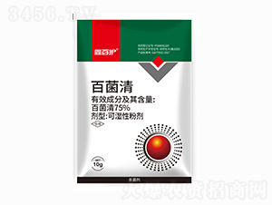 75%�پ���-�ΰ��o