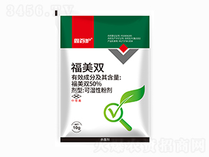 50%�����p-�ΰ��o