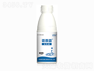 ������-����¶-������