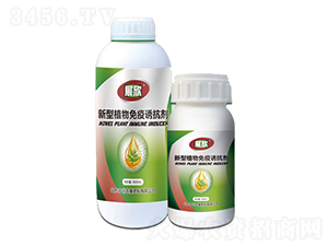 ����ֲ�������T����-չ��-�й��r��