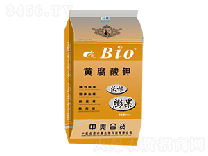 �ָ�����S�����-�й��r��