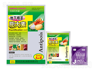 ���¸��o�����-ʥ�ϝ�