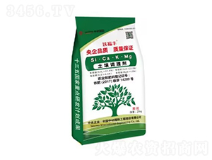 �ָ��S�����{�턩-�вć��H