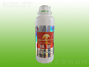 ����������-����-�f���_ 