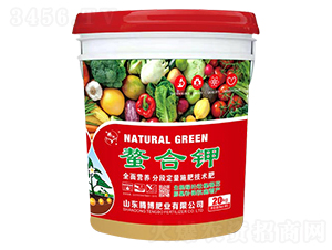 �����-�v���ʘI