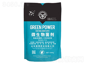 ΢�������-�v���ʘI