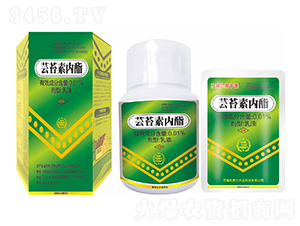 �|̦�؃���-��ِ�����S��-��ِ��