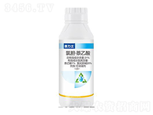 21%��đ��������-ِ��ʿ-��ِ��