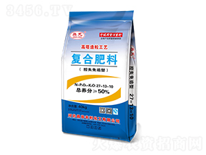 ��ʧ��׷�͏ͺϷ���27-13-10-����