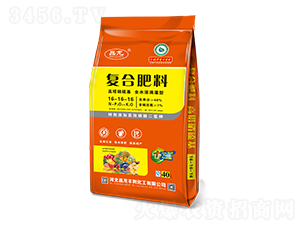 ����������ͺϷ���16-16-16-����