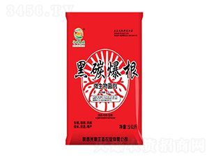 黑碳爆根微生物菌劑-光碳生態