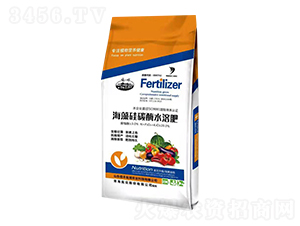 海藻硅碳酶水溶肥-倍豐鹽湖
