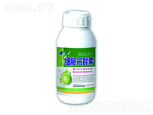 500ml����������-����ʘI 