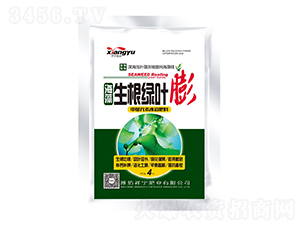 ���������G�~��-����ʘI