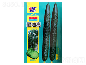 ������-�S�ϷN��-��Դ�r�I