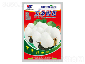 ����y��-�޻��N��-��Դ�r�I