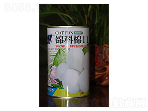 �\����11-�޻��N��-��Դ�r�I