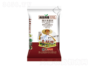 �������΢�������-ϲ����