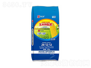 ���������28-12-12-�Ј�R��(r��n)