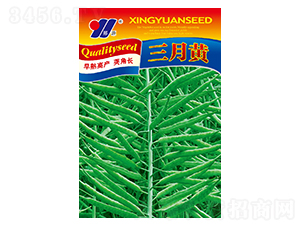 �����S-�Ͳ˷N��-��Դ�r(n��ng)�I(y��)