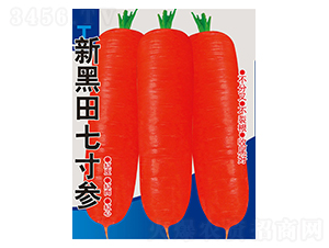 �º����ߴ煢-�}���N��-��Դ�r�I