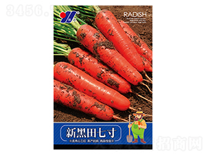 �º����ߴ�-�}���N��-��Դ�r�I