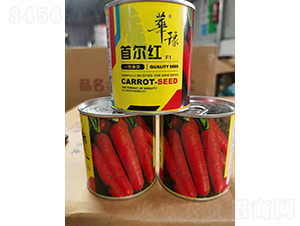 �נ��t-�}���N��-��Դ�r�I