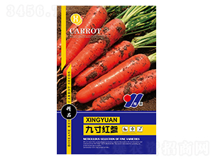 �Ŵ�t��-�}���N��-��Դ�r�I